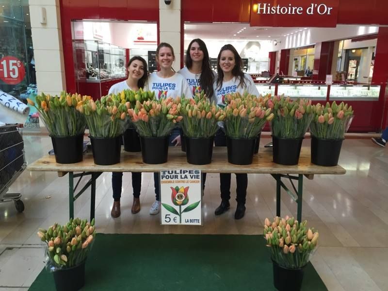 Tulipes pour la vie 1 Mars 2015 cefaf