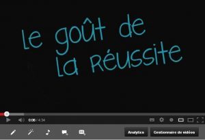 écran vidéo pro
